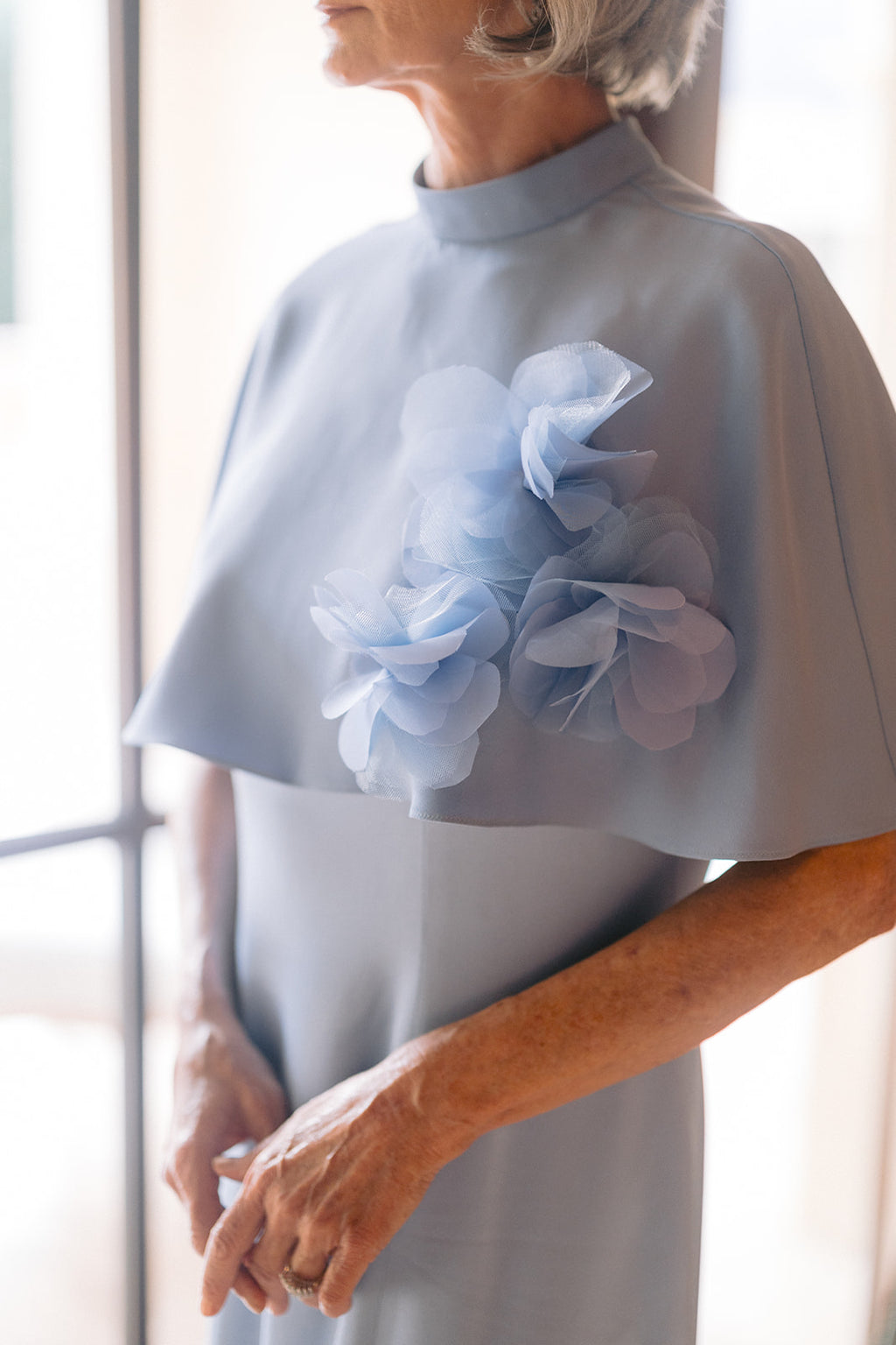 Hydrangea Cape
