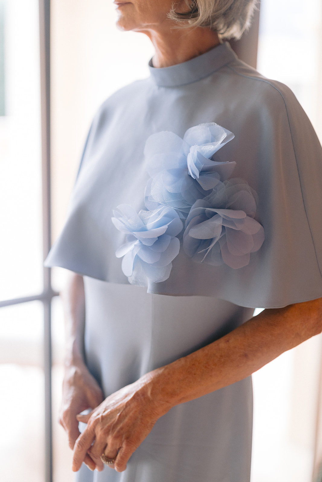 Hydrangea Cape