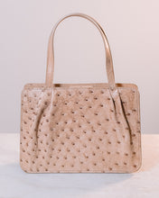 將圖片載入圖庫檢視器 Tita
