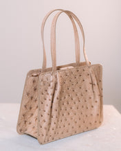 將圖片載入圖庫檢視器 Tita
